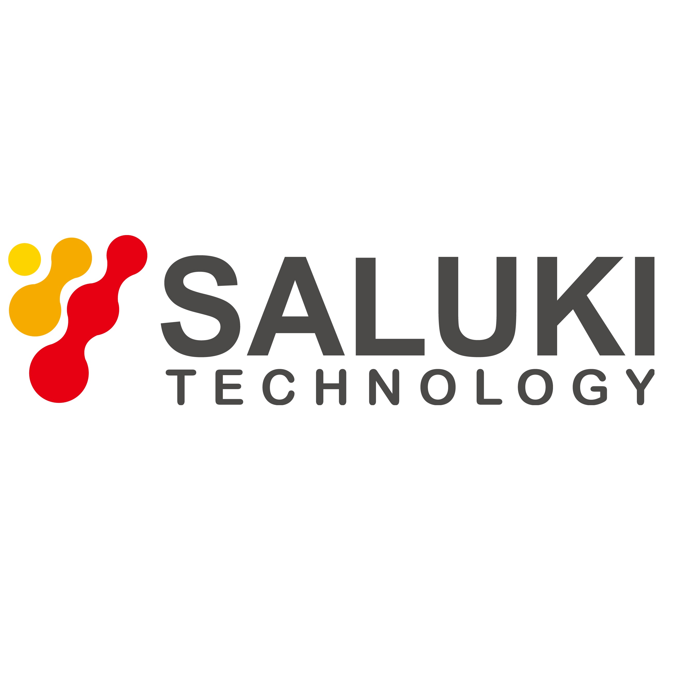 Saluki Technology Inc.